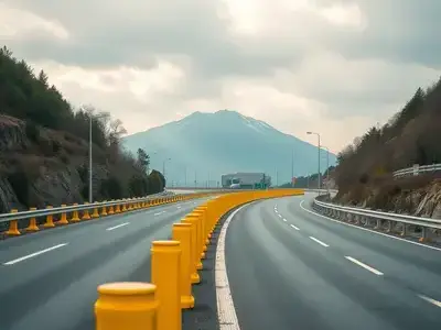 ディズ道路区間