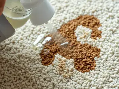 Close-up of professional pet stain and odor treatment application